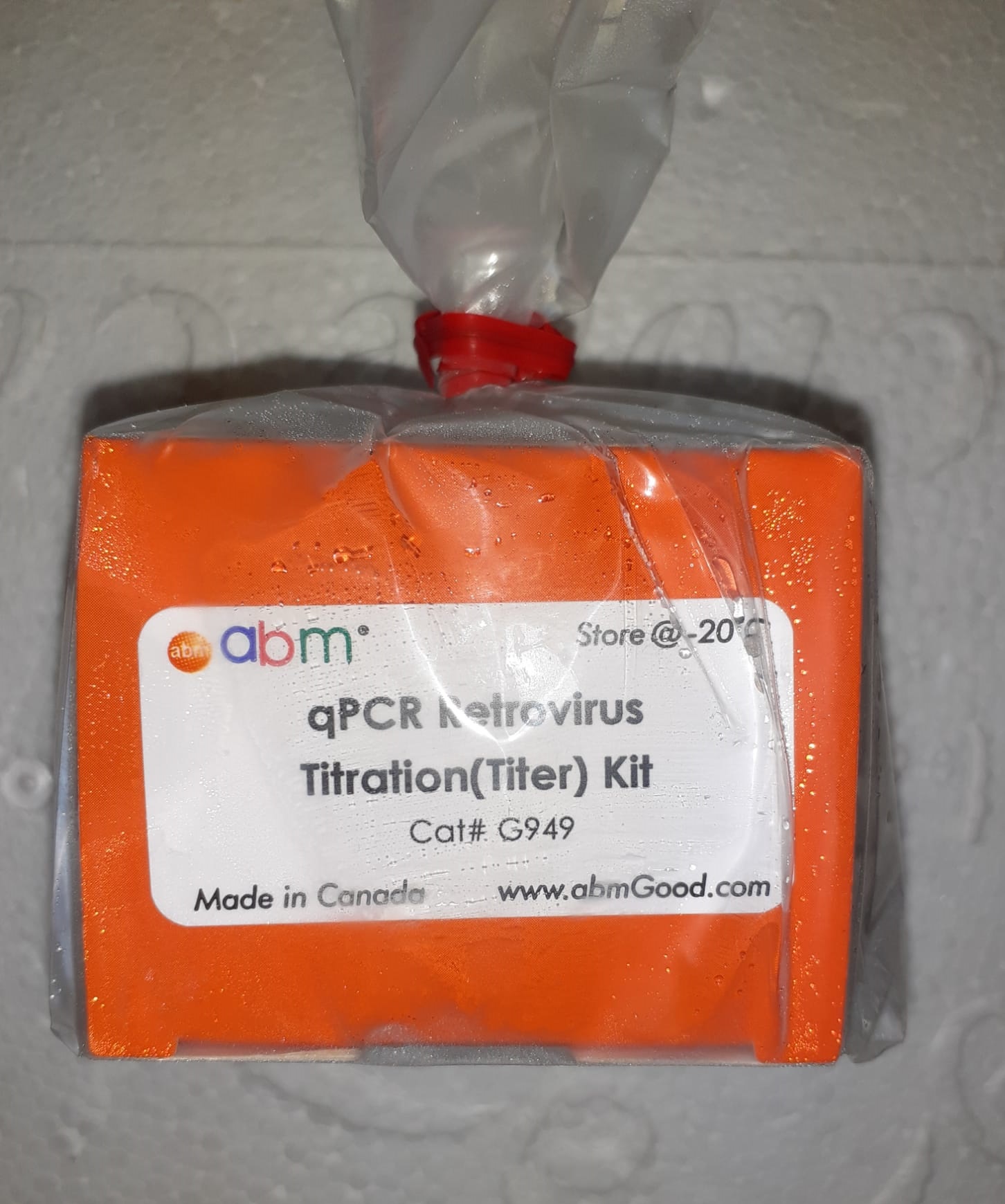 qPCR and One-Step RT MasterMixes
