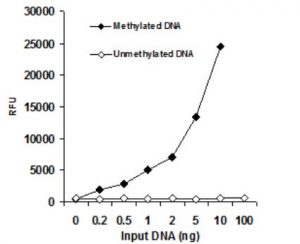 methylflash methylated dna quantification kit